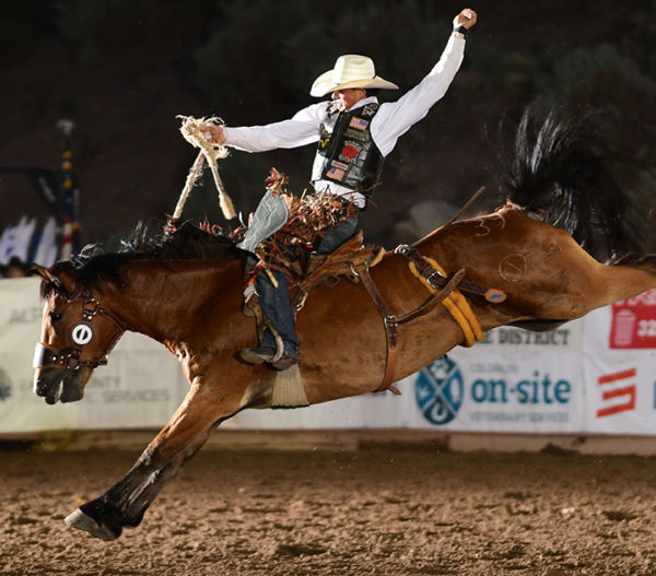 Rodeo Eagle County Fair & Rodeo