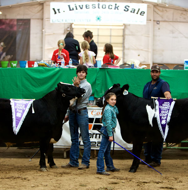 Get Involved Eagle County Fair & Rodeo