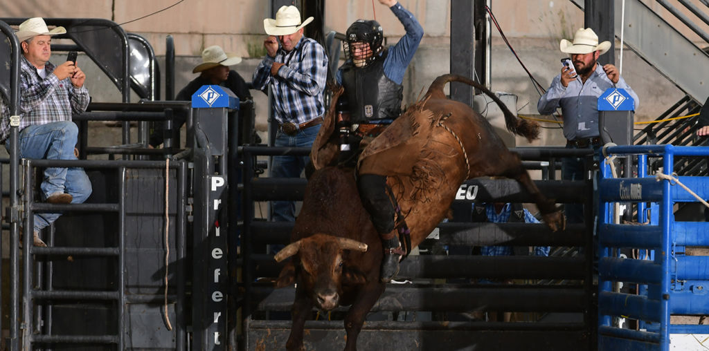 Eagle County Fair And Rodeo 2024 Drusi Gisella